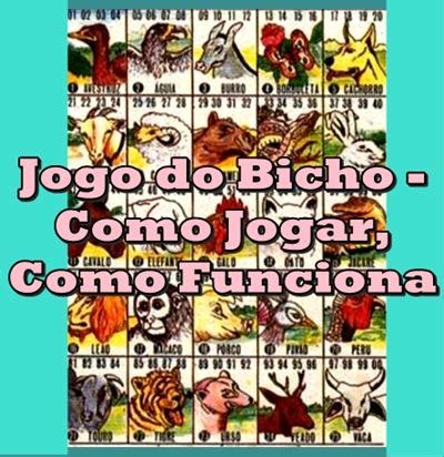 peixe jogo bicho - sonhar peixe jogo do bicho